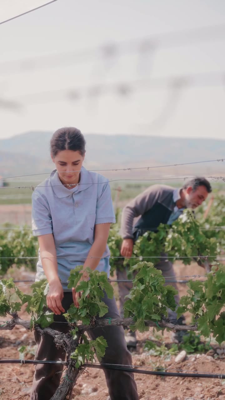 Vinkara filminden dış mekân ve bağ görüntüsü